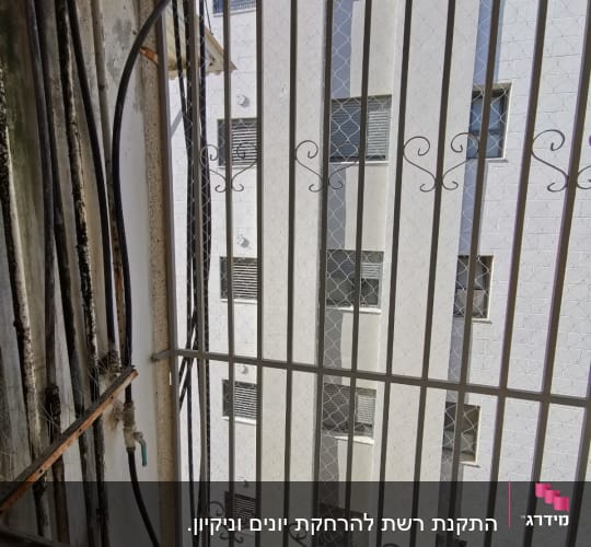 רשת מתכת על חלון למניעת כניסת יונים